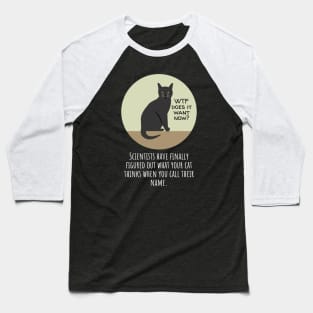 Why Does Your Cat Ignore You When You Call Their Name? Baseball T-Shirt